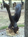 Spread Eagle Back